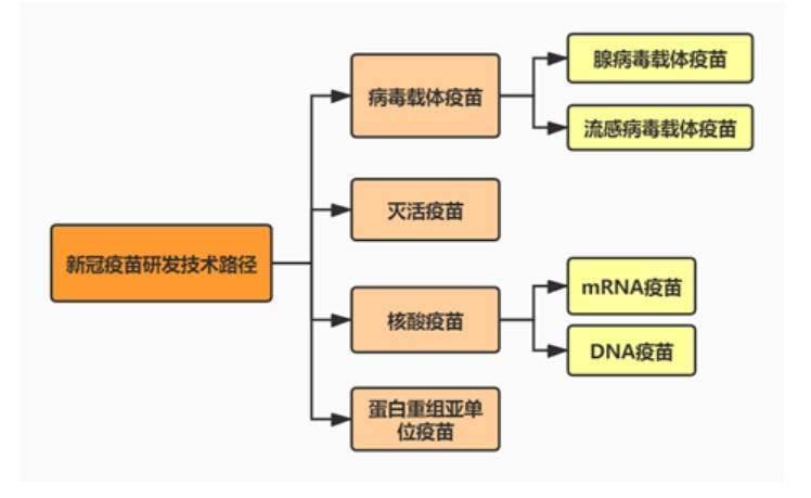 国内外新冠疫苗进展消息不断，全球都在关注疫情疫苗情况