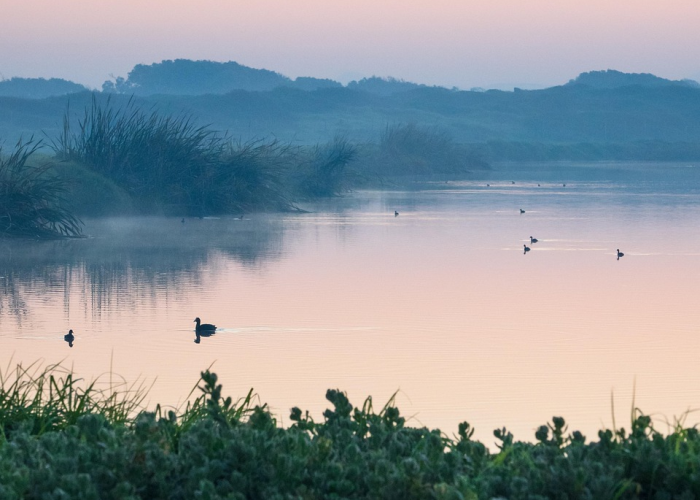 2月22日新冠疫情最新消息：新增无症状、多地风险等级调整等