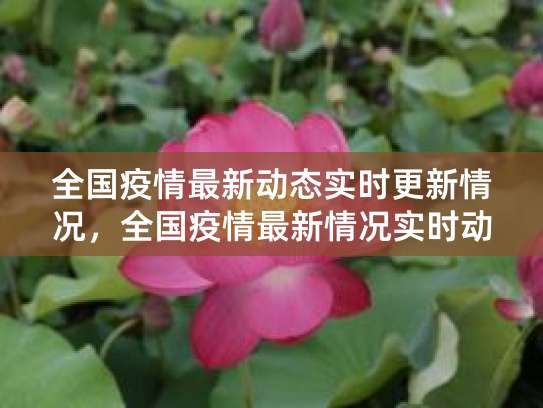 支付宝查看全国新冠疫情状况的操作方法及风险区域检查办法