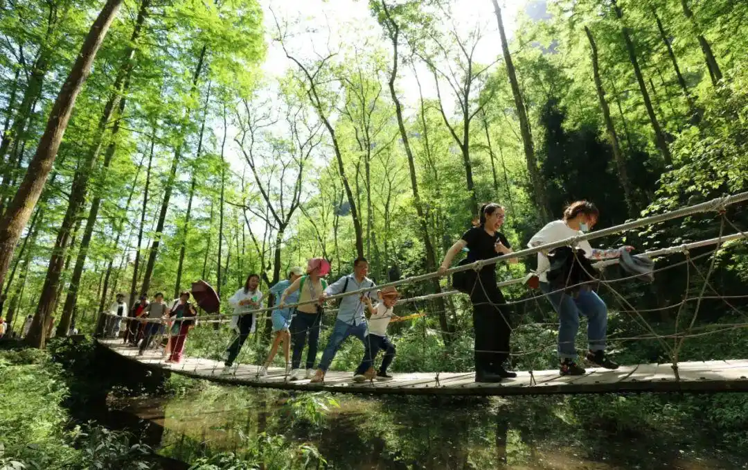 疫情下旅游业遇冷又回暖,微旅行、暑期活动成新亮点